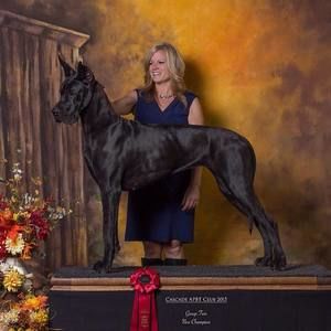 Meet your Posher, Rebecca